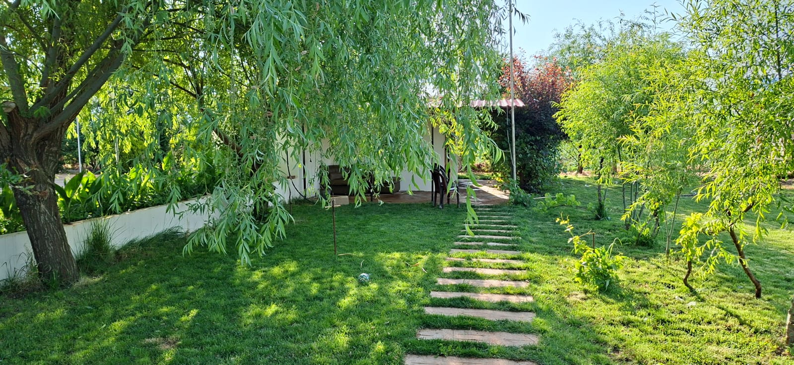 Shaded garden walkway leading to chalet
