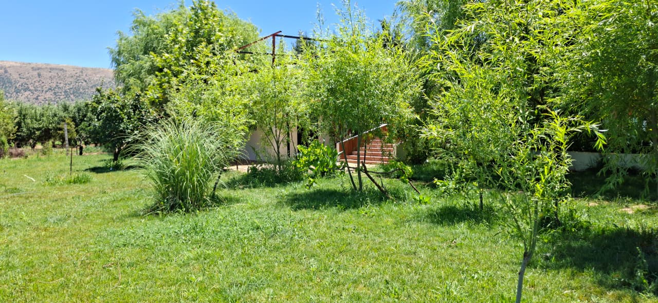 Green garden grounds with Bekaa mountains in the background