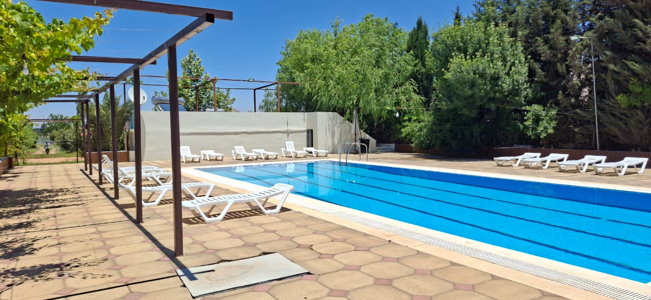 Pool with pergola and sunbeds