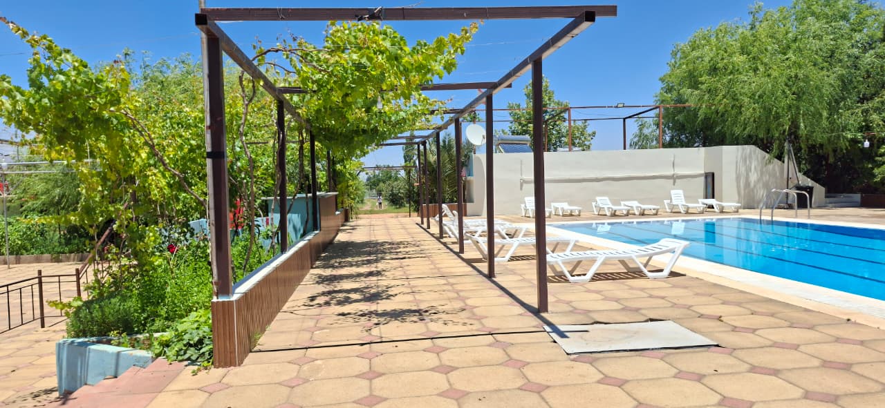 Vine-covered pergola walkway along the pool